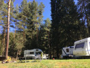 Annín Tree Park Camp