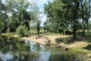 Tábořiště Paliště