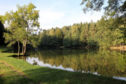 ČERNÝ RYBNÍK