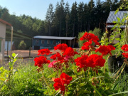 Tábořiště a kemp Nesytá