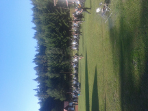 Camp Pod lesem 