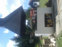 Camp Pod lesem 