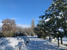 Resort Cihelna Zimní okolí Resortu Cihelna