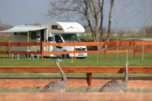 Zoopark Zelčín - kemp 