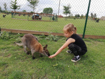 Zoopark Zelčín - kemp 