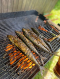 Kemp Pod Lipami Nabídka grilu