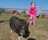 Zoopark Zelčín - kemp venčení zvířátek v zooparku