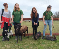 Zoopark Zelčín - kemp venčení zvířátek v zooparku II