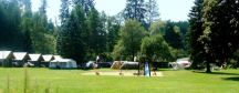 Camping na Staré Papírně areál kempu