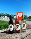 Camping Mikulov 