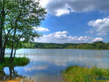 Autokemp Sykovec 