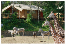 Safari Park Resort a Kemp**** 