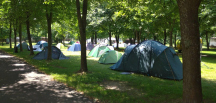 Camp Sport 