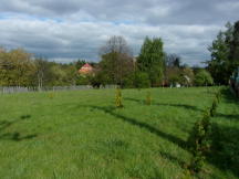 Camp Krouna 