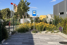 Caravan Park Hangár 