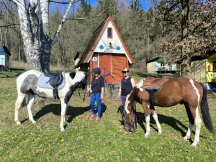 Rekreační areál Ontario 