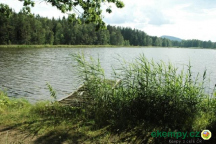 Autocamp Veveří rybník