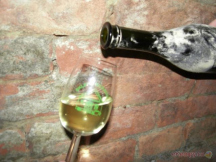 Penzion a Camp Havraníky DEGUSTACE