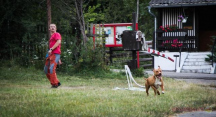 Autocamp Obora 