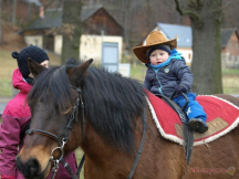 Na farmě nabízíme pro děti jízdu na koních. Součástí farmy je kontaktní ohrada s hospodářskými zvířaty.