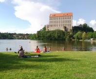 Camping Žralok Plumlov pláž u rybníka
