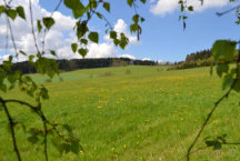 Camp Horní Lipka Výhled z kempu