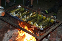 Camp Horní Lipka Opékání pstruhů na ohništi...