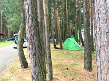 Camping la Provence 