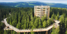 Landal Marina Lipno Stezka korunami stromů Lipno