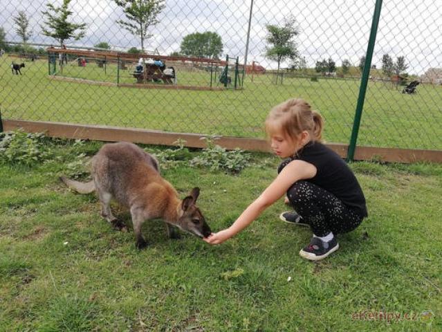 Zoopark Zelčín - kemp 