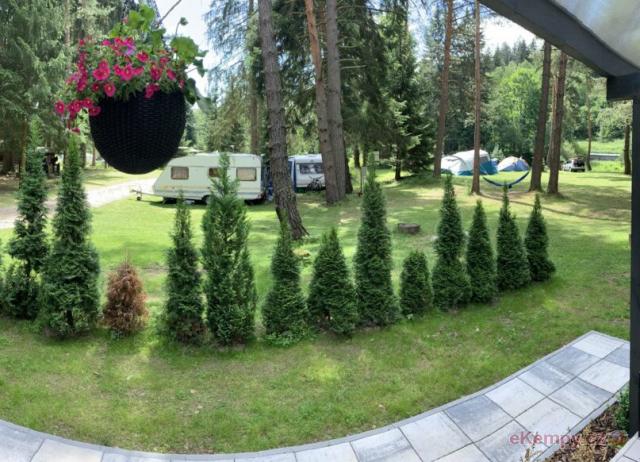 Annín Tree Park Camp 