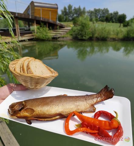 Oáza Šašňák Bistro
