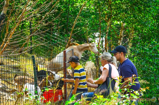 KEMP ŠIKLAND - největší zážitkový areál na Vysočině  