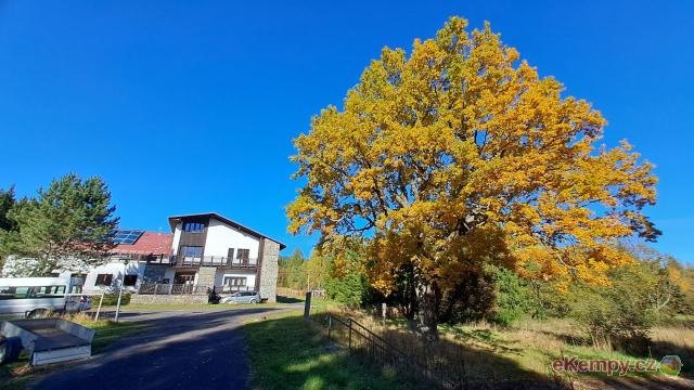 Caravan park U Pavlova dubu 